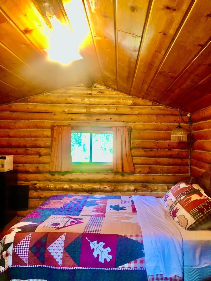 Carlo Creek Cabins Denali Park Εξωτερικό φωτογραφία