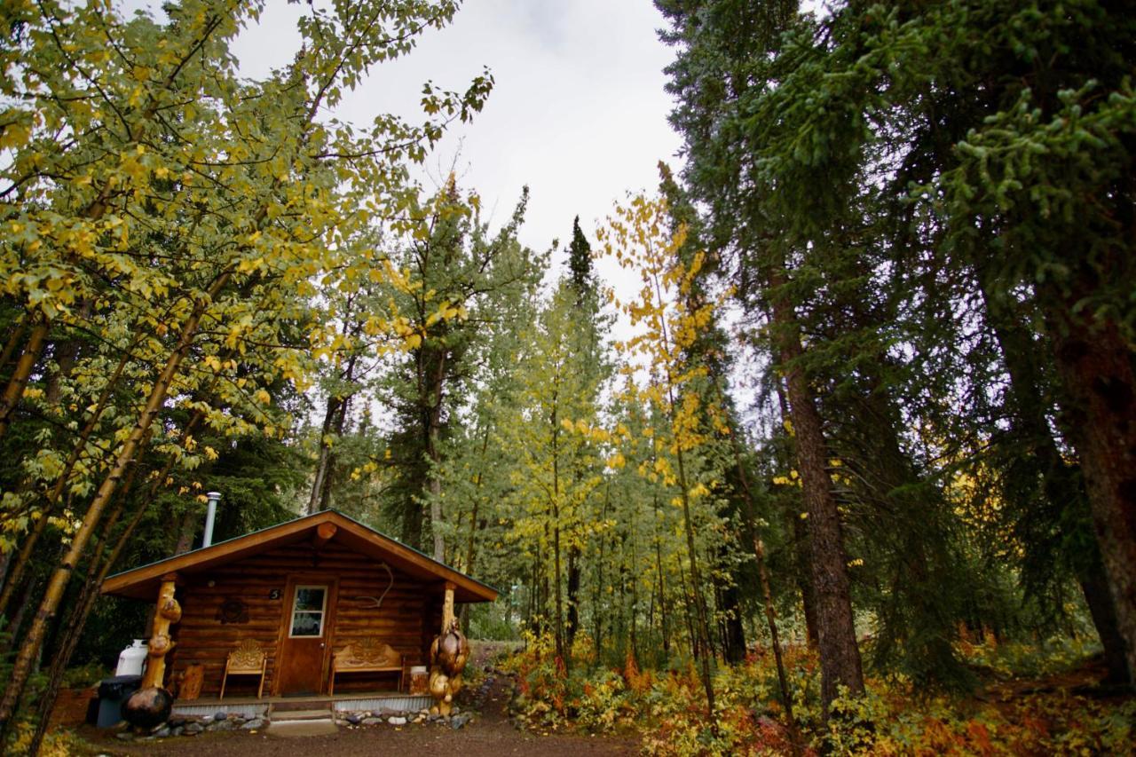 Carlo Creek Cabins Denali Park Εξωτερικό φωτογραφία