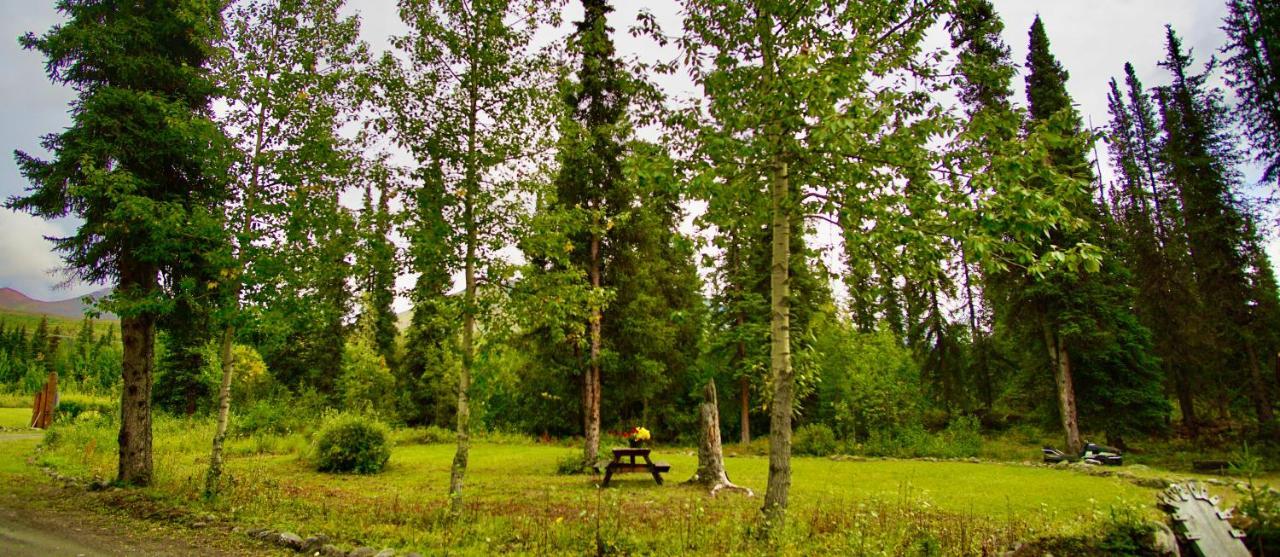 Carlo Creek Cabins Denali Park Εξωτερικό φωτογραφία