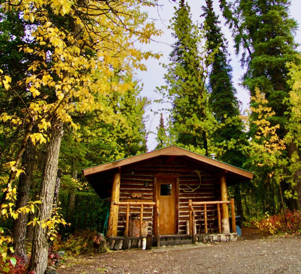 Carlo Creek Cabins Denali Park Εξωτερικό φωτογραφία