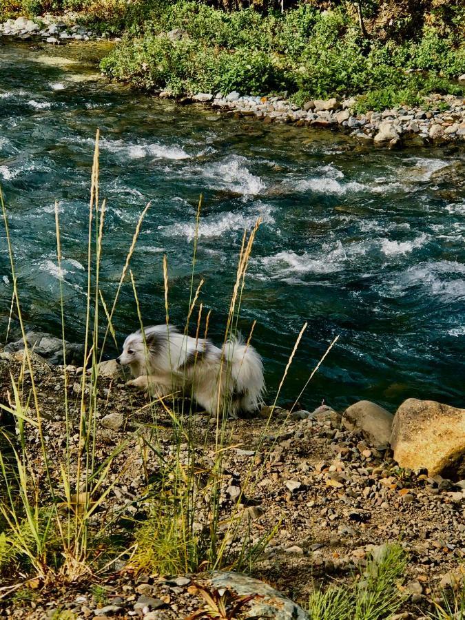 Carlo Creek Cabins Denali Park Εξωτερικό φωτογραφία