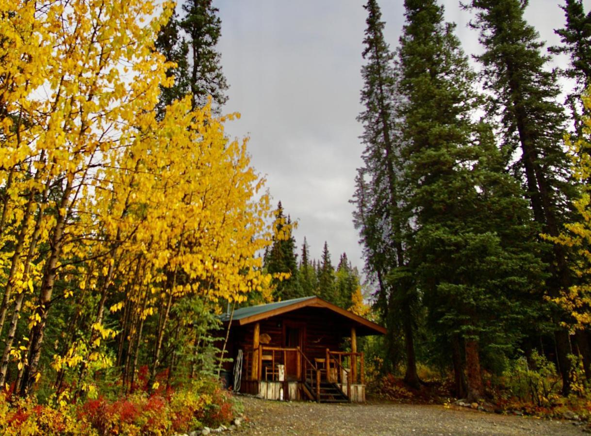 Carlo Creek Cabins Denali Park Εξωτερικό φωτογραφία
