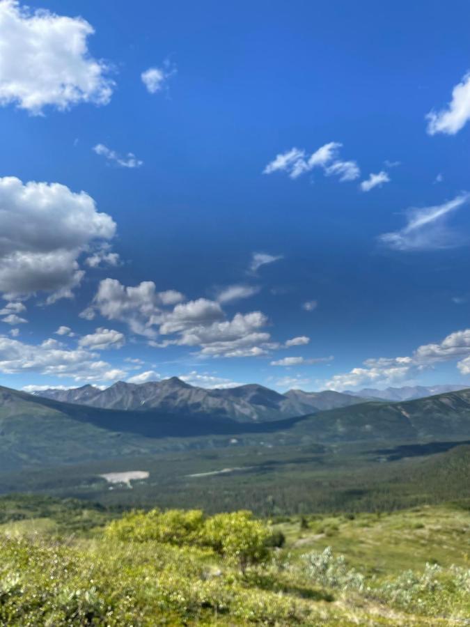 Carlo Creek Cabins Denali Park Εξωτερικό φωτογραφία