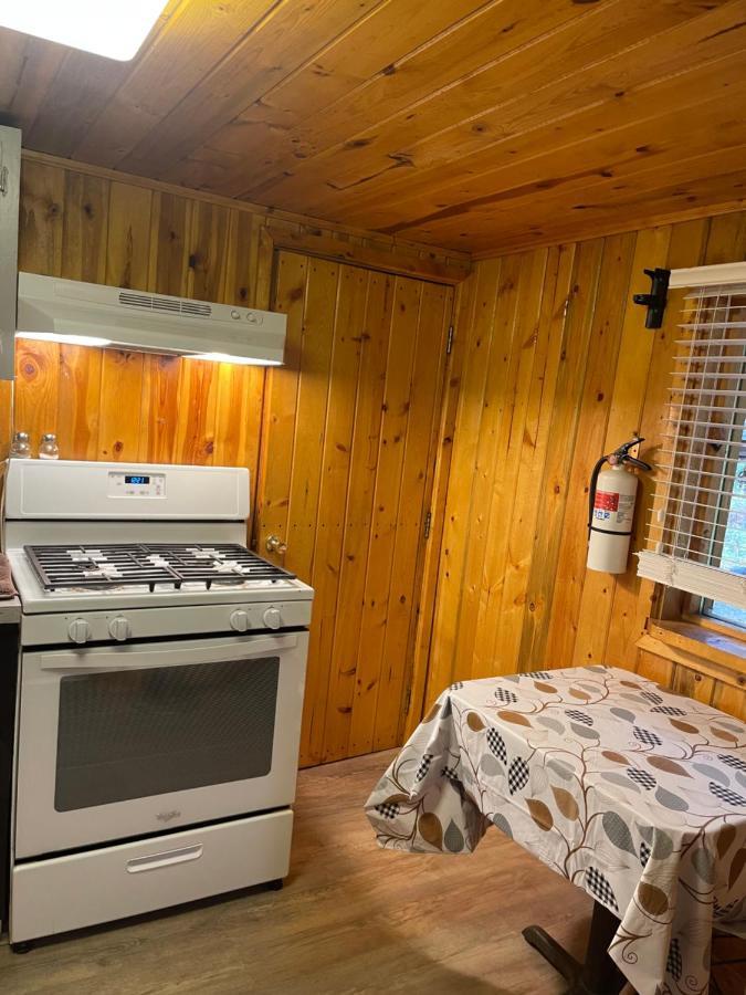 Carlo Creek Cabins Denali Park Εξωτερικό φωτογραφία