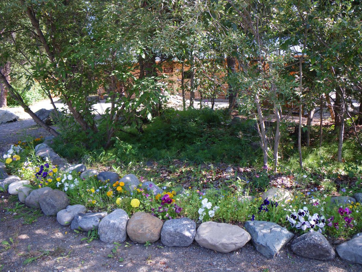 Carlo Creek Cabins Denali Park Εξωτερικό φωτογραφία