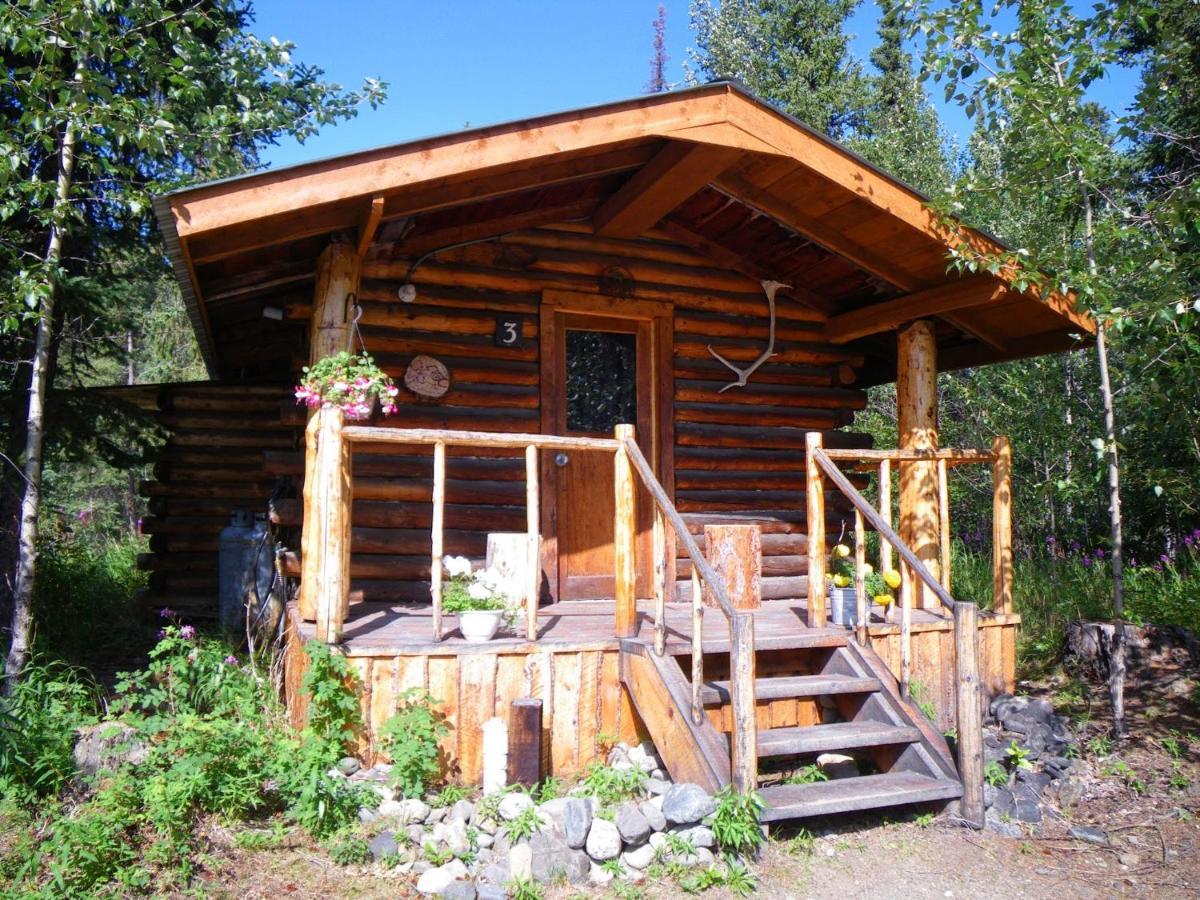 Carlo Creek Cabins Denali Park Εξωτερικό φωτογραφία